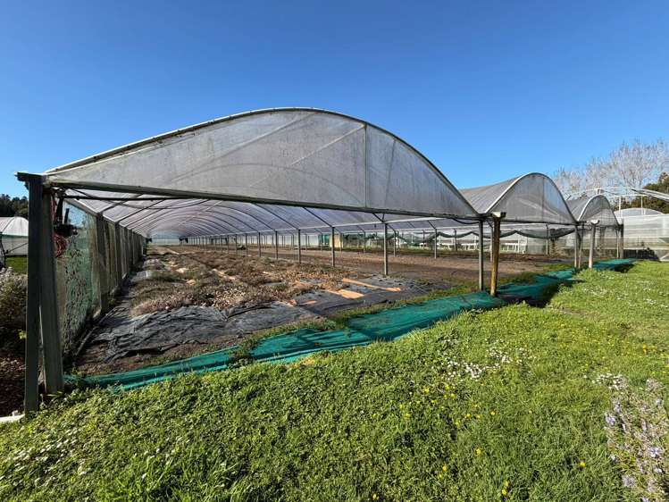 18 Brigham Creek Road Whenuapai_15