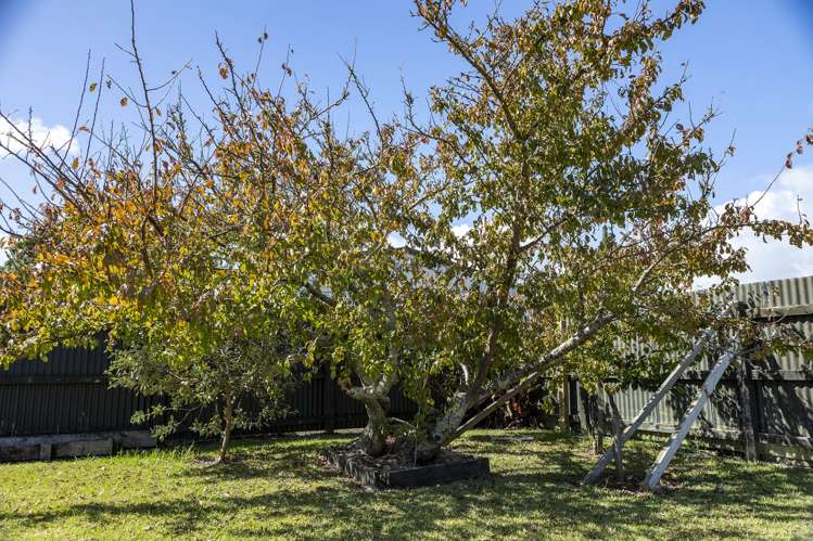 51 Church Road Kaitaia_25