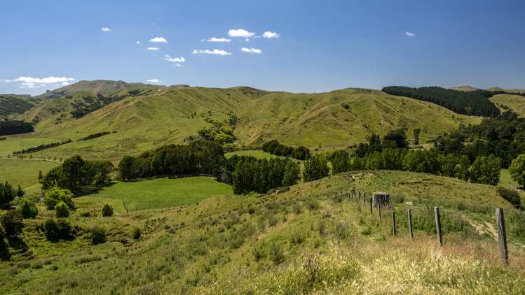 14781 Route 52 Eketahuna_15