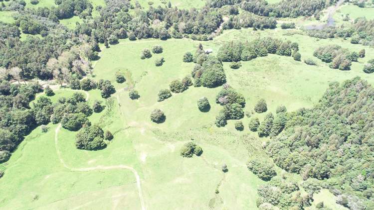 Irvine Road Ruatangata_4