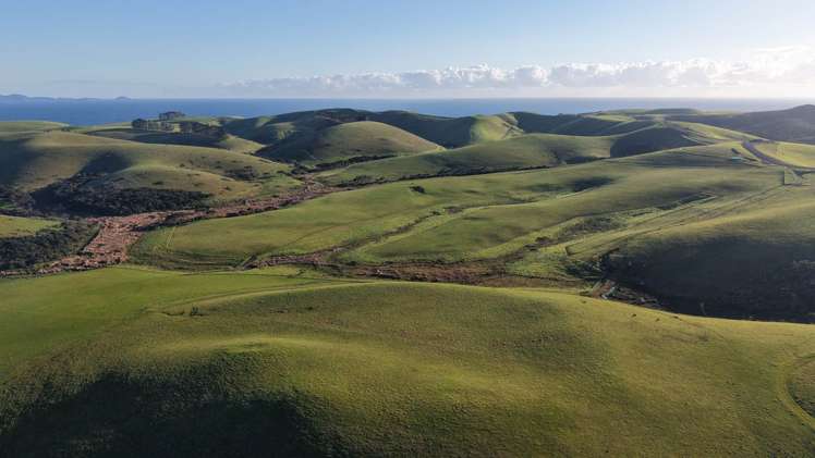 1811 Rangihoua Road Kerikeri_28