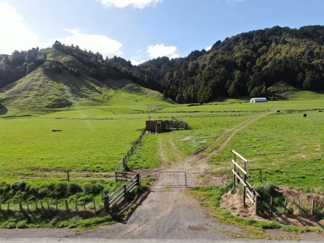 2858 State Highway 30 Benneydale_3