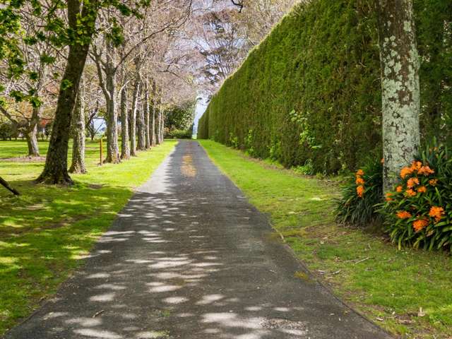 137 Kayelene Place Omokoroa_4