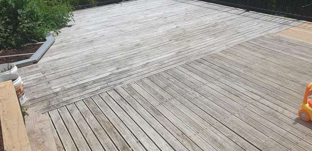 59 Pemberton Avenue Bayview_4