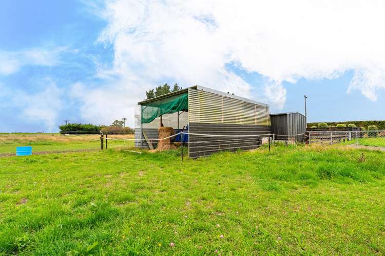 8 Minnie Street & 0 Molloys Road Waimate_20