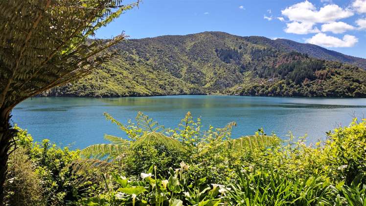 417 Port Underwood Road Whatamango Bay_34