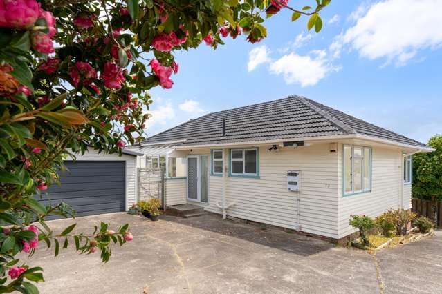 73 Webster Avenue Mount Roskill_3