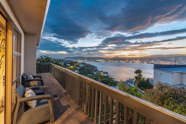 40 Shandon Road Waverley_7