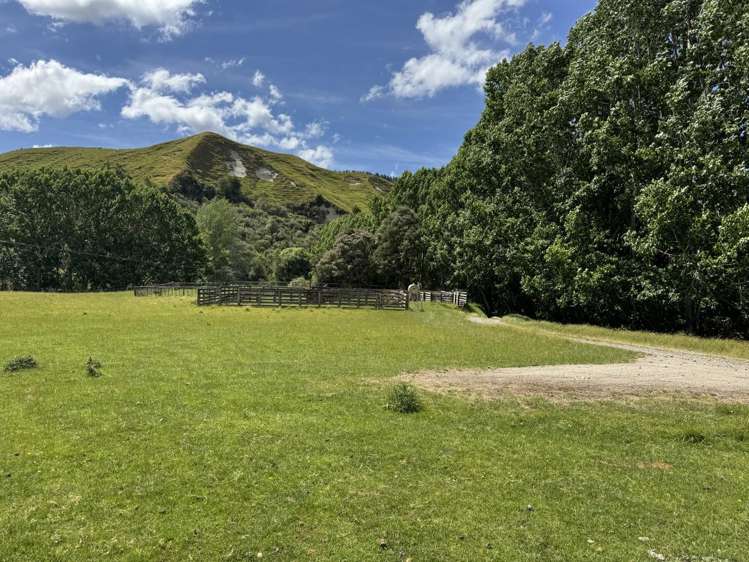 213 Parihauhau Road Parikino_17