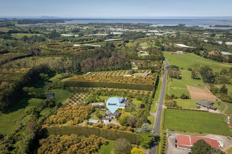 184 Wharawhara Road Katikati_26