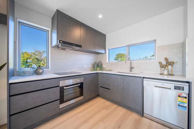 26A Trojan Crescent New Lynn_2