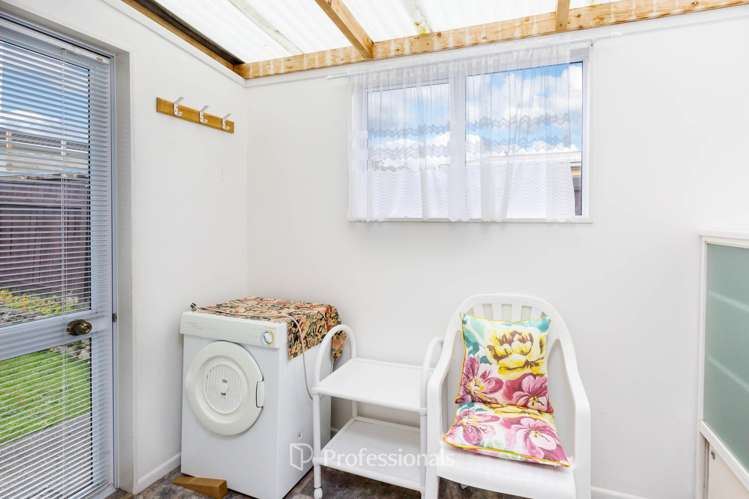 28B Roband Crescent Brown Owl_14