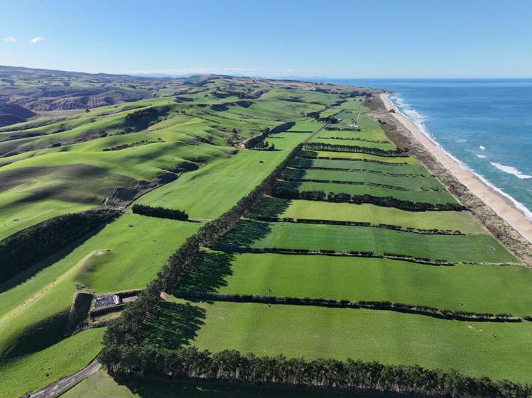 46 Clarkes Road, Glenledi Milton_10