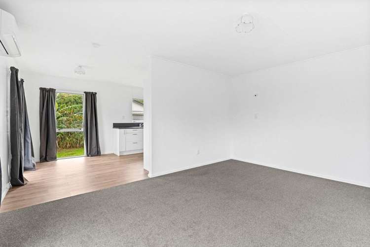 9 Guy Avenue Levin_5