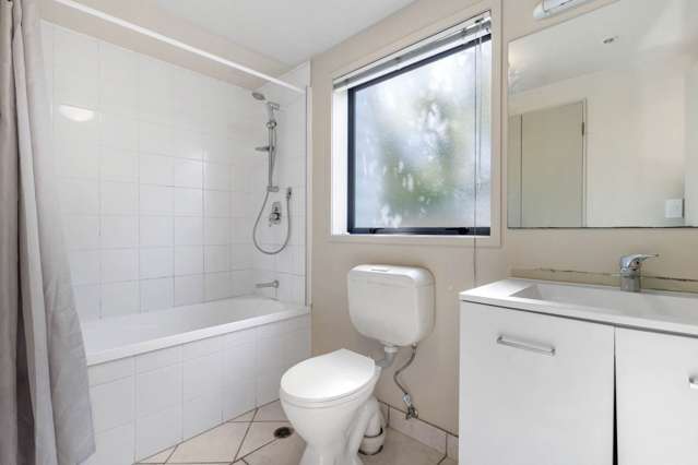 Ga/8 Crown Lynn Place New Lynn_4