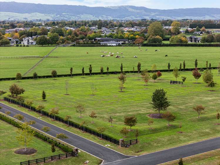 - Highgrove Station Road Matamata_23