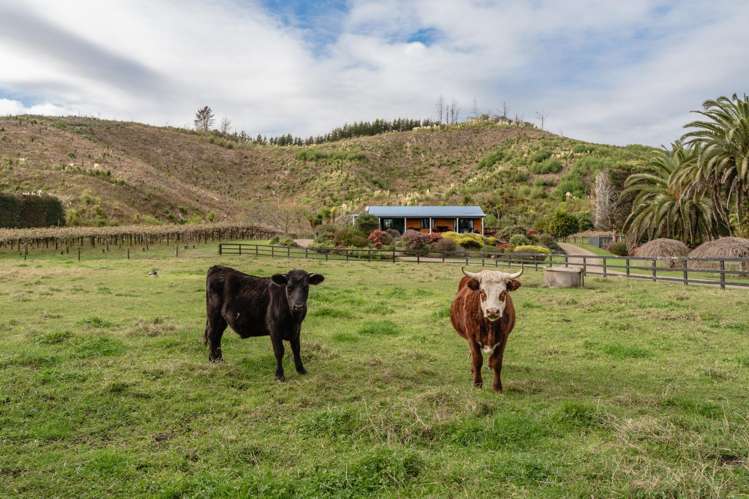 389A MacDonald Road Te Teko_15