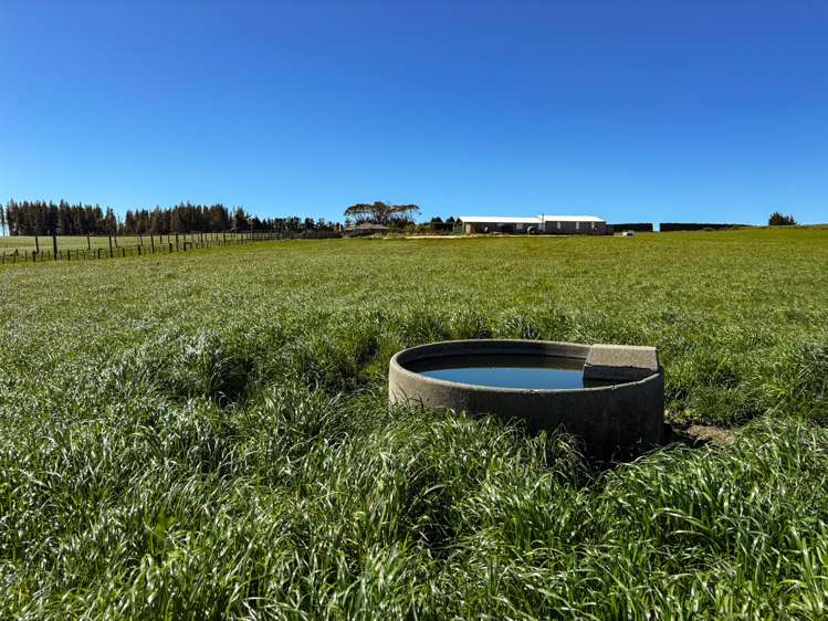 461 Cross Road Pebbly Hill_17