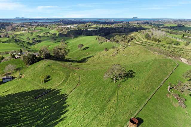 163 Waipapa Block Road Whakamarama_1