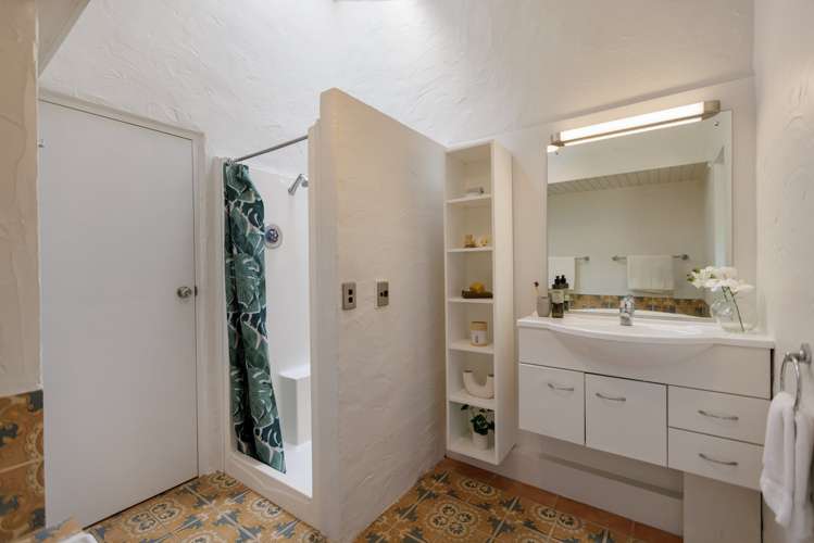 54 Princess Road Bellevue_13