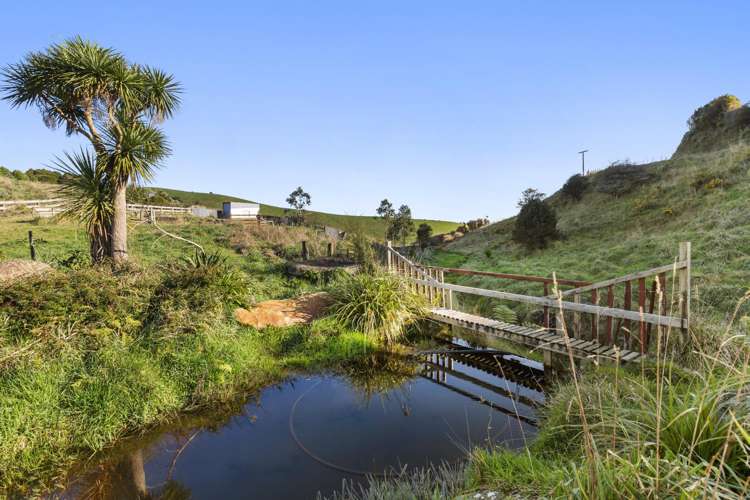 178 Houchen Road Raglan_10