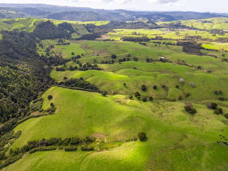 325b Haruru Road Wainui_16