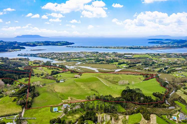 The Farmhouse I Quintal Road Matakana_8