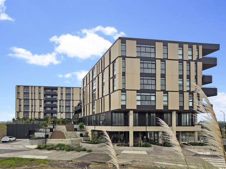 309/48 Esmonde Road_0