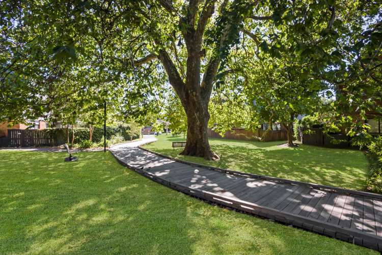 3 Balmer Lane Mount Eden_21