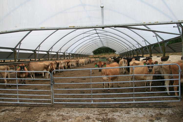 1996 Egmont Road Inglewood_7