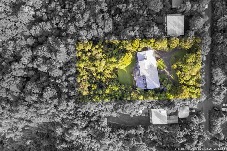 51 Turanga Road Henderson Valley_18