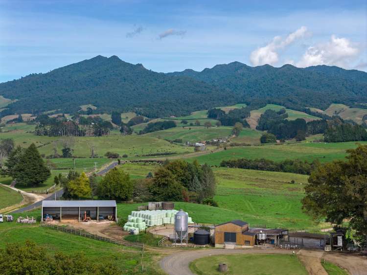 18 Hodgson Road Te Pahu_13