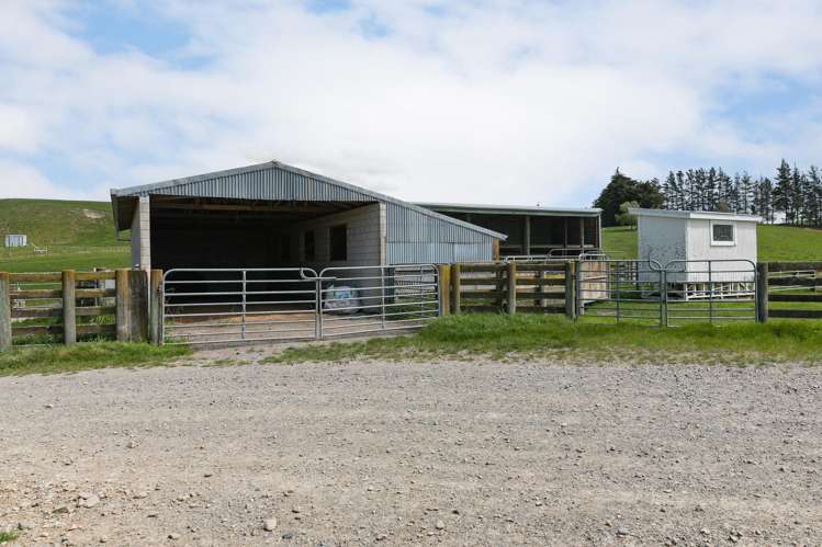 300 Pattison Road Waipukurau_19