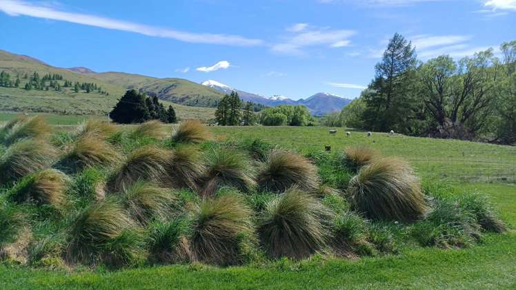 1891 Fairlie Tekapo Road Burkes Pass_9