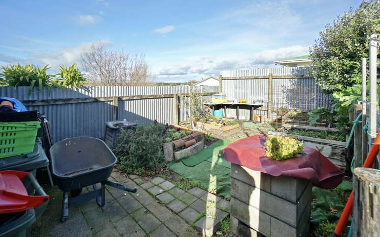 37 Harris Street Te Puke_22