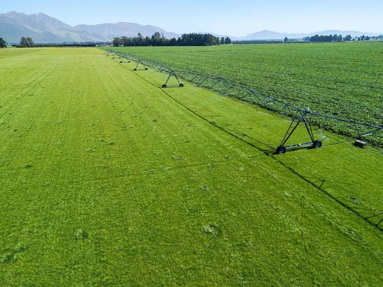 1710 Ealing Montalto Road Ashburton_11