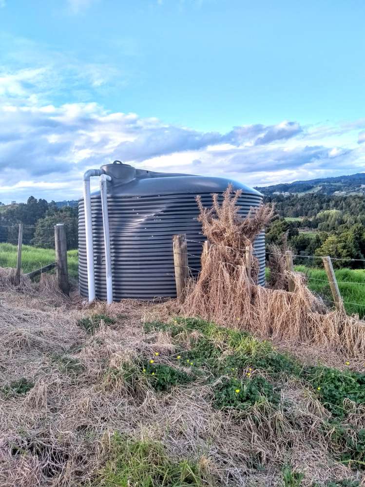 115 Jackson Road Maungatapere_8