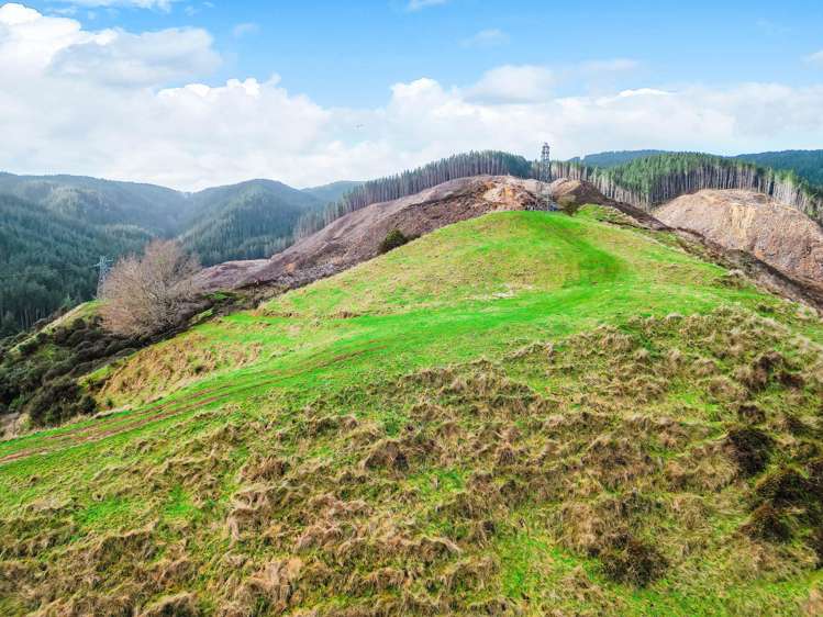 3789 State Highway 4 Ongarue_21