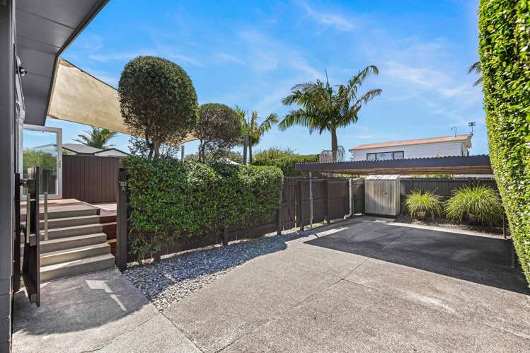 103a Point Chevalier Road Point Chevalier_22