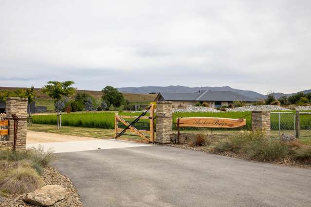 57 Golden Road Alexandra_4