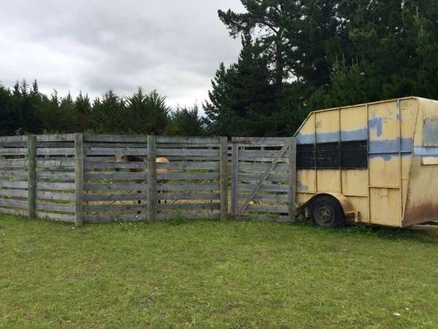 252 Tokarahi-Duntroon Road Five Forks and Surrounds_2