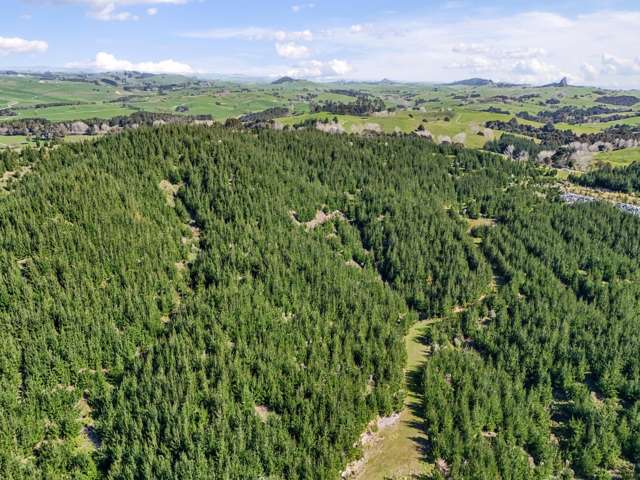 Hoyle Road and Wainui Road Arapohue_1