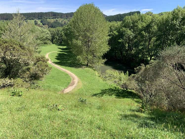 2896 State Highway 3 Awakino_35