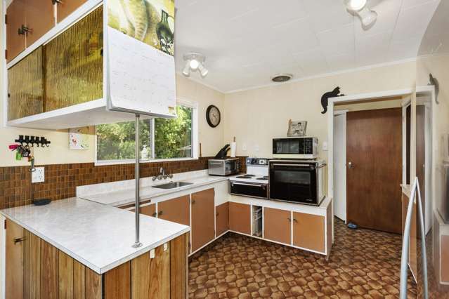 8 Radiata Grove Brown Owl_3