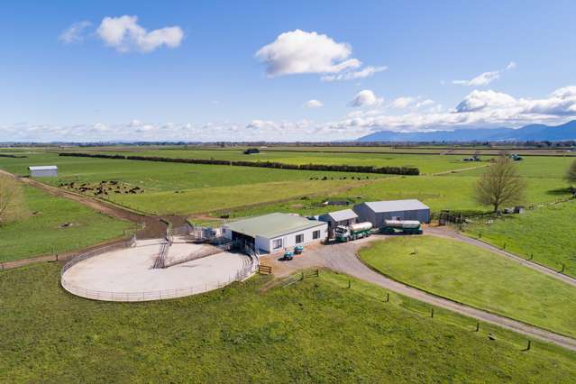 373 Tower Road Matamata_1