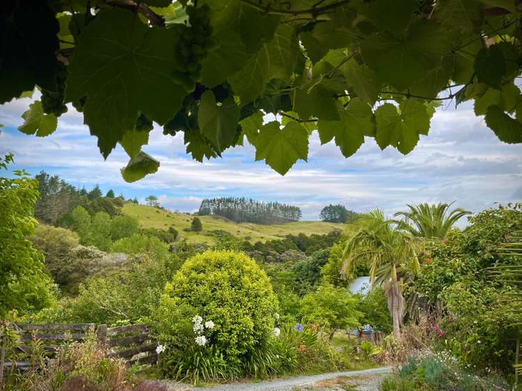 318 Franklin Road Paparoa_25