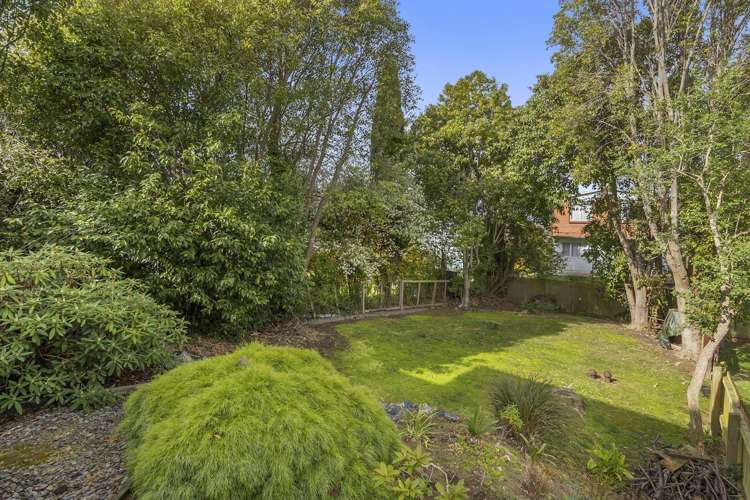 67 Elm Row Dunedin Central_15