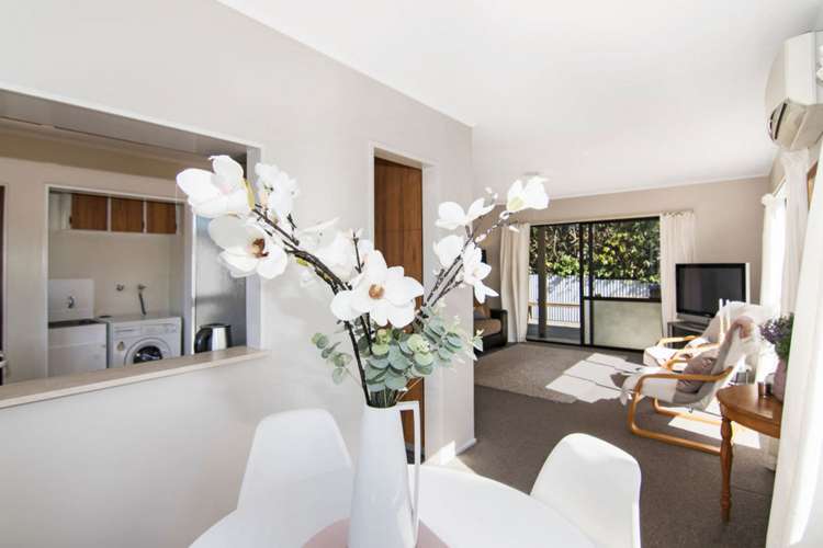 228 Nayland Road Stoke_7