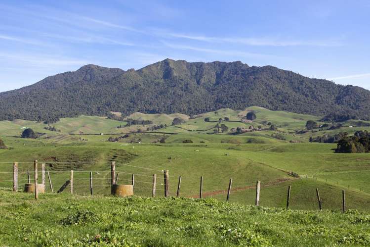 58 Munns Road Raglan_17