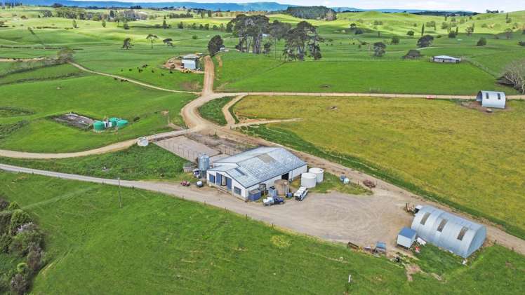 258 Paratu West Road Richmond Downs_5